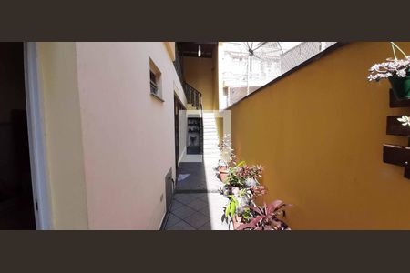 Casa para alugar com 293m², 4 quartos e 2 vagasQuintal