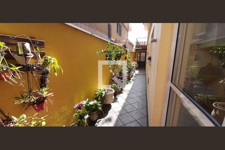 Casa para alugar com 293m², 4 quartos e 2 vagasQuintal