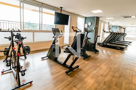 Apartamento para alugar com 67m², 2 quartos e 1 vaga Apartamento para alugar com 67m², 2 quartos e 1 vagaÁrea comum - Academia