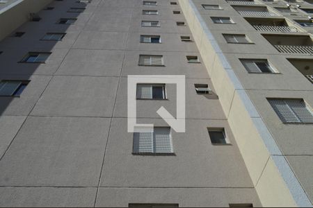 Apartamento para alugar com 52m², 2 quartos e 1 vagaFachada do bloco
