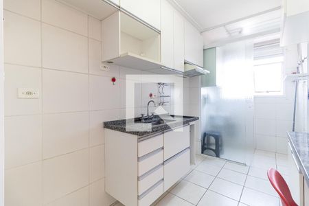 Cozinha de apartamento para alugar com 2 quartos, 50m² em Vila Moinho Velho, São Paulo