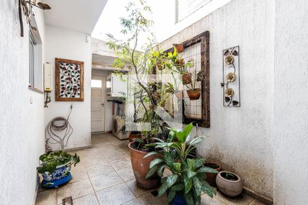 Apartamento para alugar com 135m², 1 quarto e 1 vagaQuintal