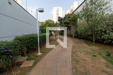 Área comum - Espaço Pet de apartamento para alugar com 2 quartos, 50m² em Tatuapé, São Paulo