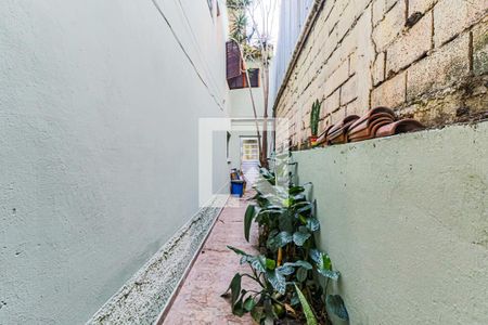 Casa à venda com 300m², 3 quartos e 2 vagas Casa à venda com 300m², 3 quartos e 2 vagasCorredor lateral