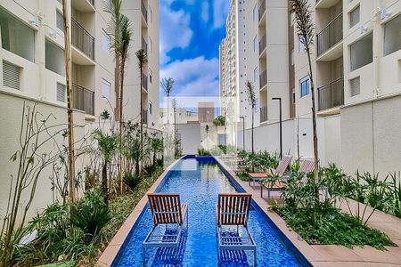 Área comum - Piscina de apartamento para alugar com 2 quartos, 49m² em Vila Guilherme, São Paulo