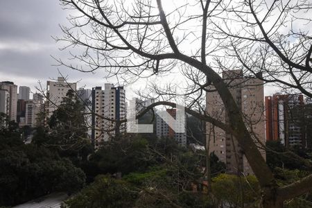 Vista de apartamento para alugar com 1 quarto, 47m² em Morumbi, São Paulo