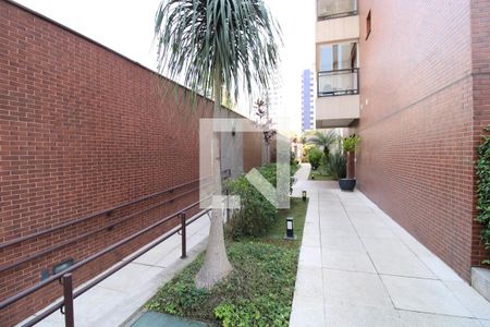 Apartamento para alugar com 38m², 1 quarto e 1 vagaÁrea comum 