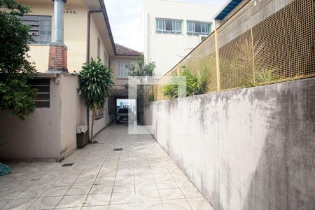 Quarto 1 Vista de casa para alugar com 3 quartos, 180m² em Rio Branco, Porto Alegre