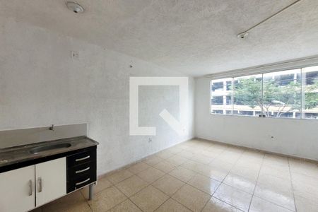 Sala/Cozinha de kitnet/studio para alugar com 1 quarto, 19m² em Cambuci, São Paulo
