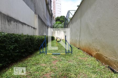 Apartamento para alugar com 63m², 2 quartos e 1 vagaÁrea comum -Espaço Pet