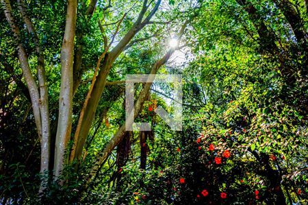 Apartamento à venda com 52m², 2 quartos e 1 vagaÁrea Comum