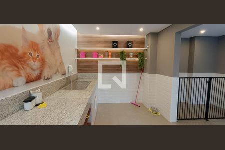 Área comum - Petcenter de kitnet/studio para alugar com 1 quarto, 28m² em Bom Retiro, São Paulo
