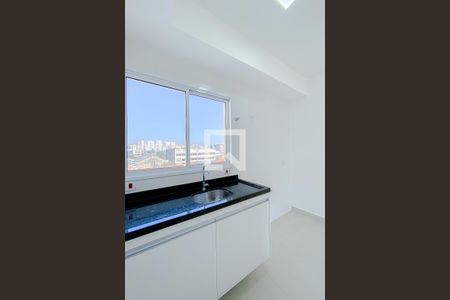 Apartamento para alugar com 22m², 1 quarto e sem vagaCozinha