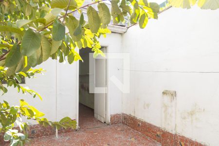 Casa à venda com 120m², 2 quartos e 1 vaga Casa à venda com 120m², 2 quartos e 1 vagaQuintal