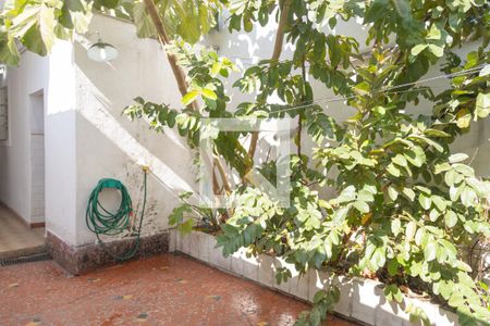 Casa à venda com 120m², 2 quartos e 1 vaga Casa à venda com 120m², 2 quartos e 1 vagaQuintal