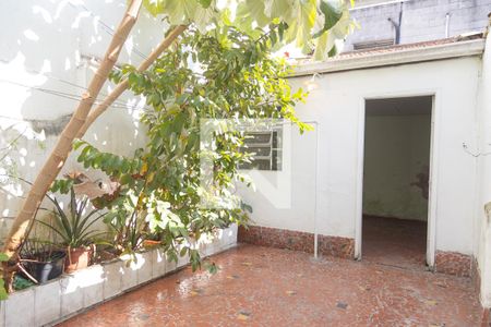 Casa à venda com 120m², 2 quartos e 1 vaga Casa à venda com 120m², 2 quartos e 1 vagaQuintal