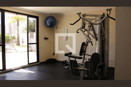 Apartamento para alugar com 343m², 3 quartos e 3 vagasÁrea comum - Academia