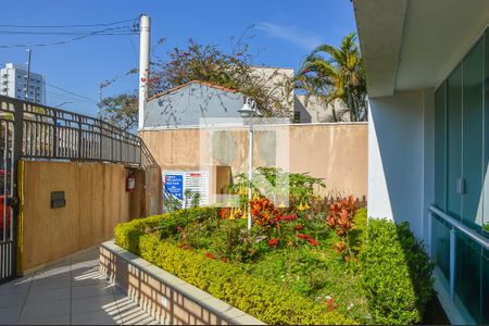 Jardim de apartamento à venda com 2 quartos, 67m² em Baeta Neves, São Bernardo do Campo