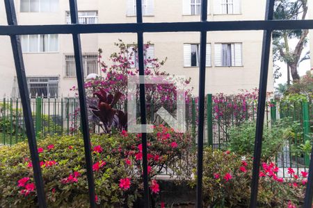 Apartamento para alugar com 77m², 3 quartos e 1 vagaVista do Quarto 3