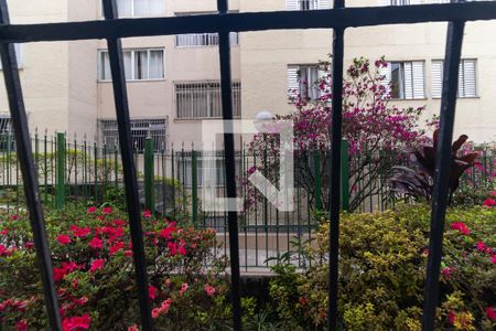 Apartamento para alugar com 77m², 3 quartos e 1 vagaVista do Quarto 2