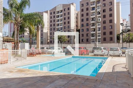 Apartamento à venda com 63m², 3 quartos e 1 vaga Apartamento à venda com 63m², 3 quartos e 1 vagaÁrea comum - Piscina