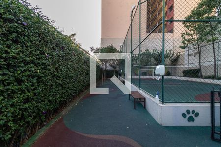 Apartamento para alugar com 34m², 1 quarto e 1 vagaÁrea comum - Área Pet