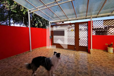 Casa para alugar com 398m², 2 quartos e 6 vagasQuintal