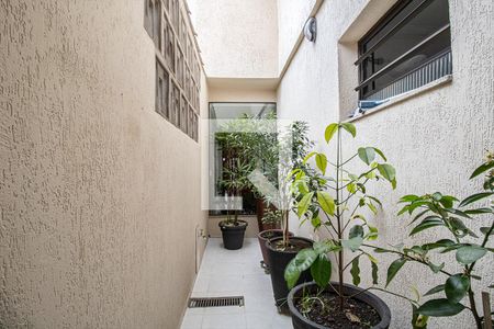 Apartamento para alugar com 229m², 3 quartos e 4 vagascorredor lateral_2