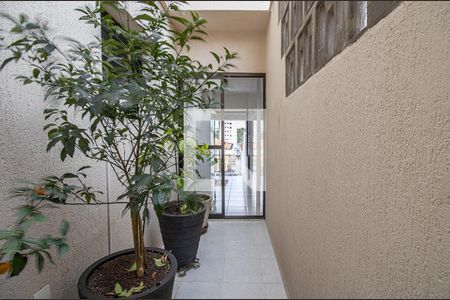 Apartamento para alugar com 229m², 3 quartos e 4 vagascorredor lateral_3