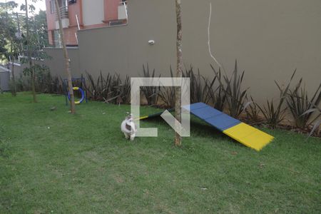 Studio à venda com 38m², 1 quarto e 1 vagaPetPlace