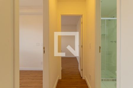 Corredor de apartamento para alugar com 2 quartos, 42m² em Parque Arariba, São Paulo