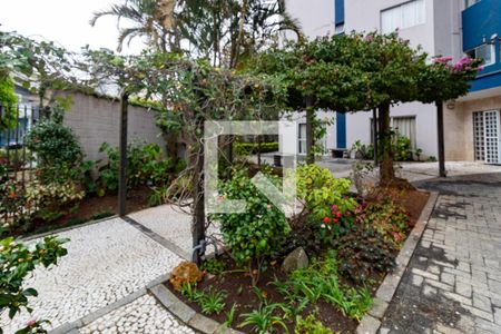 Jardim de apartamento para alugar com 2 quartos, 67m² em Vila Anhangüera, São Paulo