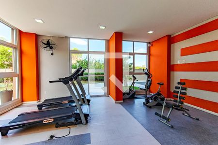 Apartamento para alugar com 50m², 1 quarto e 1 vagaÁrea Comum - Academia