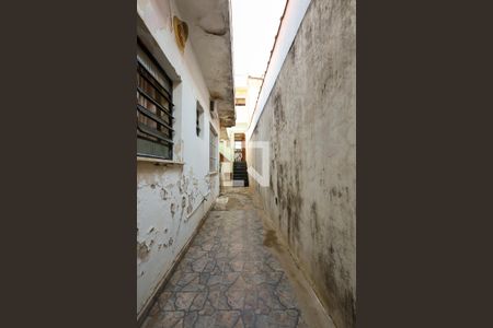 Casa à venda com 198m², 3 quartos e 2 vagasQuintal 