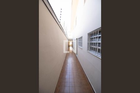 Casa para alugar com 150m², 4 quartos e 2 vagas Casa para alugar com 150m², 4 quartos e 2 vagasCorredor / Quintal