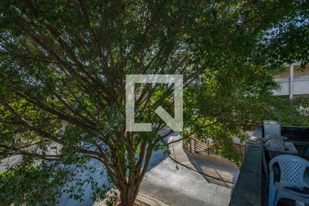 Apartamento à venda com 339m², 3 quartos e 1 vagaVaranda da Suíte