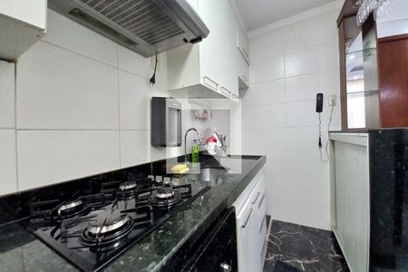 Apartamento para alugar com 48m², 2 quartos e 1 vagaCozinha 