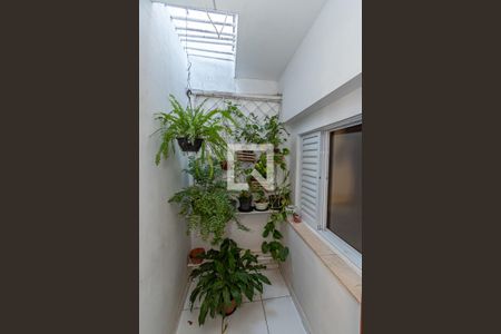 Area de Luz/Sala de casa à venda com 3 quartos, 96m² em Jardim Eulina, Campinas