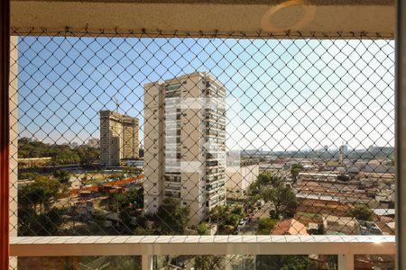 Apartamento à venda com 130m², 3 quartos e 3 vagasVista do Quarto 2
