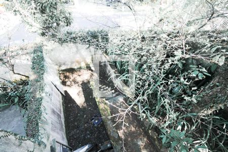 Casa à venda com 570m², 5 quartos e 5 vagasJardim