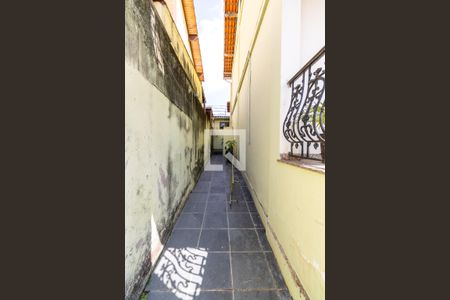 Casa de condomínio para alugar com 238m², 3 quartos e 3 vagas Casa de condomínio para alugar com 238m², 3 quartos e 3 vagasQuintal