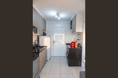 Cozinha/área de serviço de apartamento para alugar com 1 quarto, 27m² em Cambuci, São Paulo