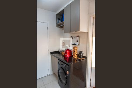 Cozinha/área de serviço de apartamento para alugar com 1 quarto, 27m² em Cambuci, São Paulo