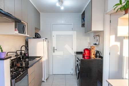 Cozinha/área de serviço de apartamento para alugar com 1 quarto, 27m² em Cambuci, São Paulo