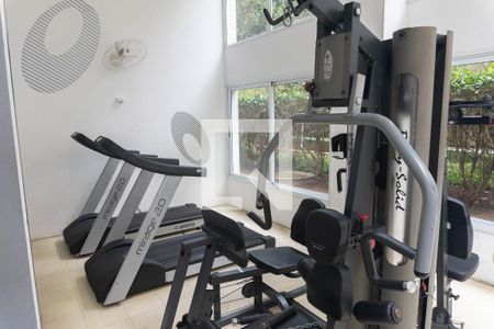 Apartamento para alugar com 50m², 2 quartos e 1 vaga Apartamento para alugar com 50m², 2 quartos e 1 vagaÁrea comum - Academia