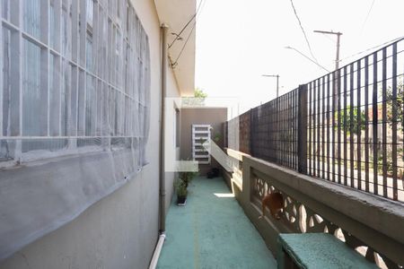 Casa à venda com 238m², 5 quartos e 5 vagasQuintal