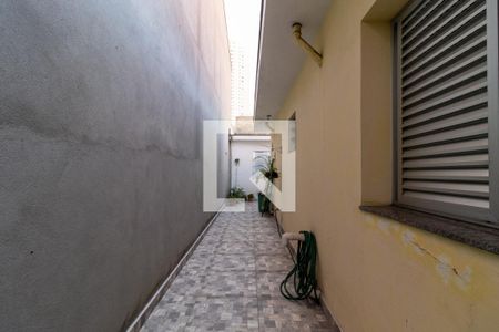 Quintal de casa para alugar com 3 quartos, 100m² em Vila Romana, São Paulo