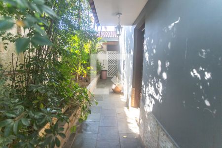 Casa à venda com 239m², 3 quartos e 3 vagasQuintal