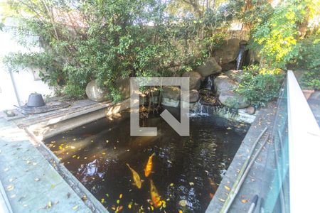 Casa à venda com 239m², 3 quartos e 3 vagasQuintal