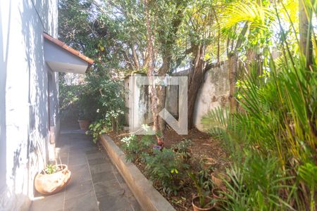 Casa à venda com 239m², 3 quartos e 3 vagasQuintal